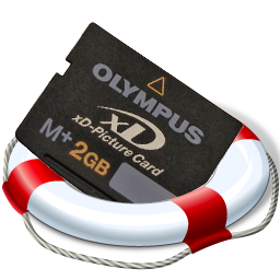 olympus xd picture card reader download